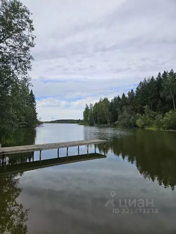Дом в Московская область, Шаховская муниципальный округ, д. Сутоки ул. ... - Фото 0