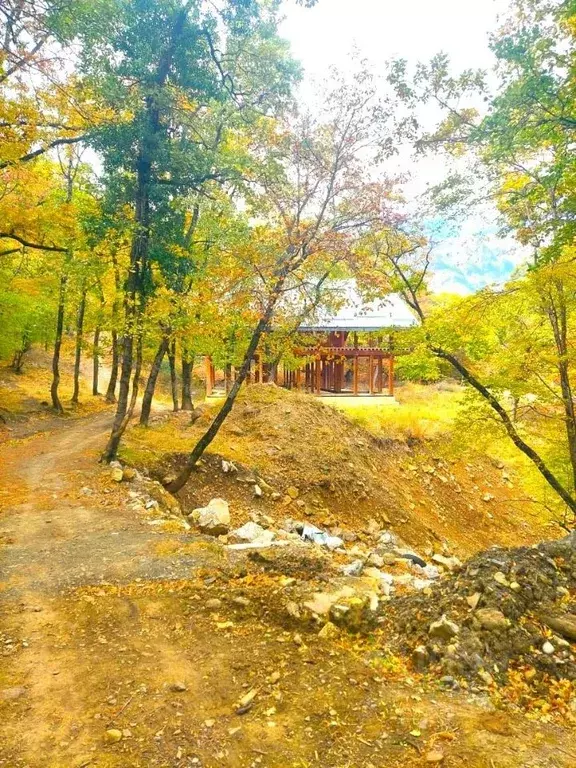 Участок в Крым, Ялта городской округ, Виноградное пгт ш. ... - Фото 0
