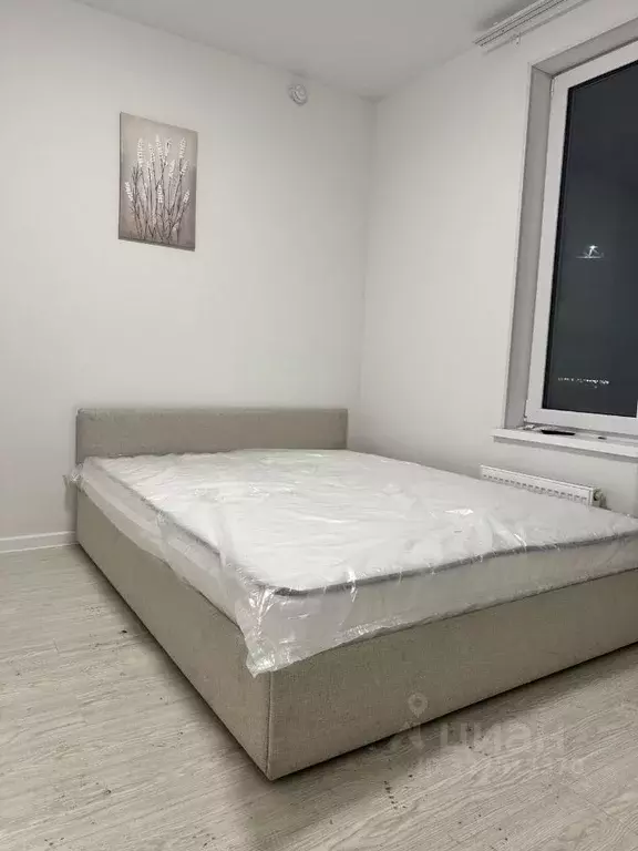 1-к кв. Санкт-Петербург пос. Шушары, просп. Старорусский, 5к2 (29.4 м) - Фото 1