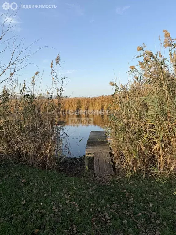 Дом в Дядьковская, улица Захарченко (73 м) - Фото 1