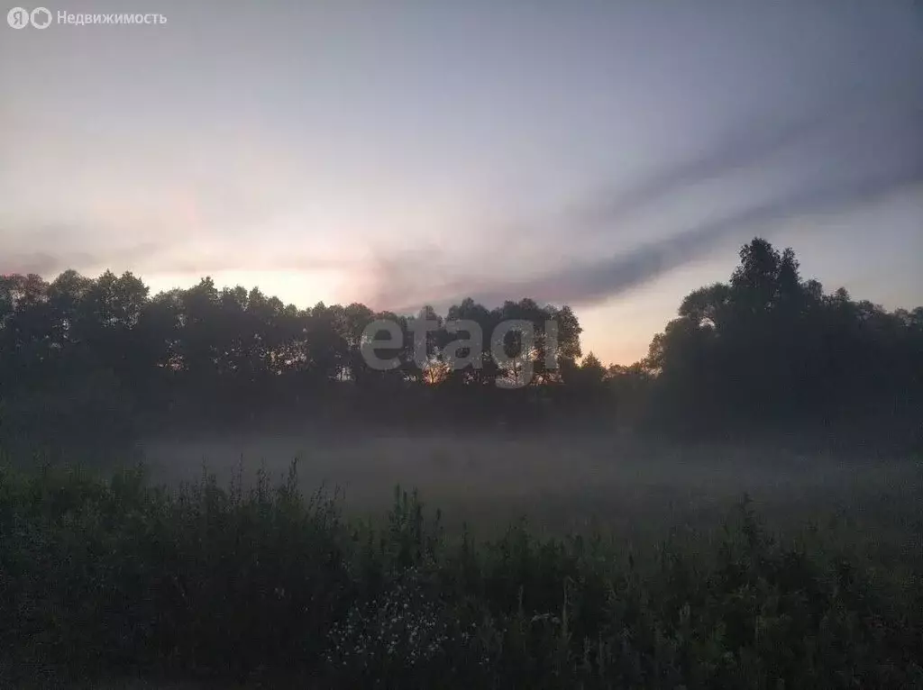 Участок в Кимовский район, сельское поселение Новольвовское, село ... - Фото 2