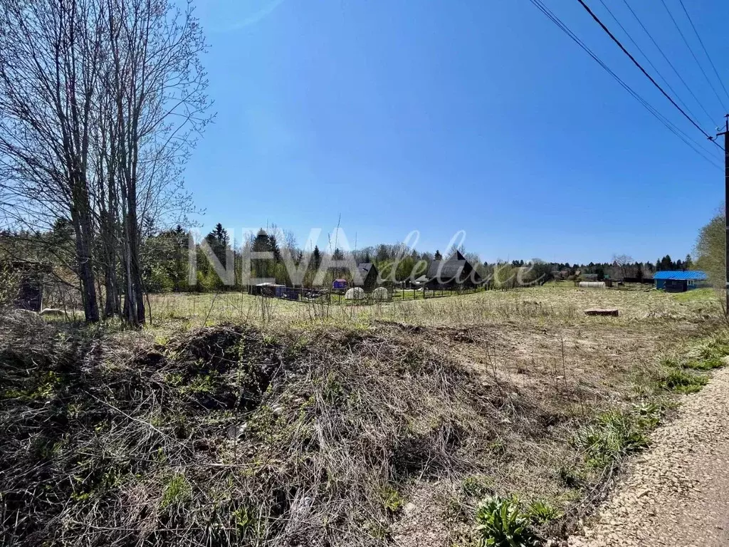 Участок в Ленинградская область, Ломоносовский район, Лопухинское ... - Фото 2