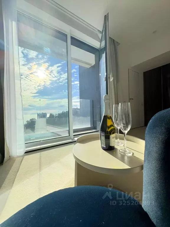 1-к кв. Краснодарский край, Сочи Хоста жилрайон, ул. Шоссейная, 9к1 ... - Фото 2