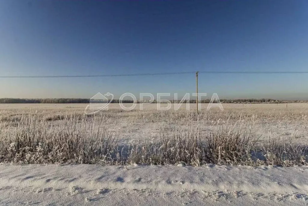 Участок в Тюменская область, Тюменский район, с. Кулига  (17.65 сот.) - Фото 1