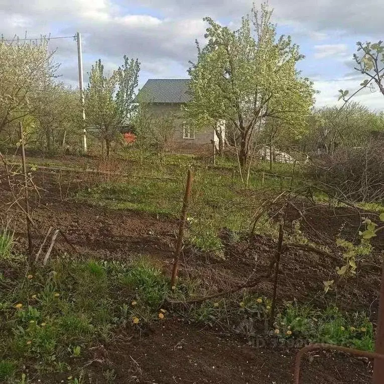 Участок в Белгородская область, Белгородский муниципальный округ, ... - Фото 1