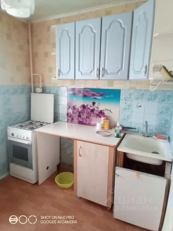 1-к кв. Ульяновская область, Димитровград ул. Куйбышева, 305А (33.0 м) - Фото 1