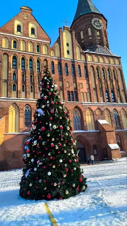 Комната Калининградская область, Калининград Малый пер., 25 - Фото 2