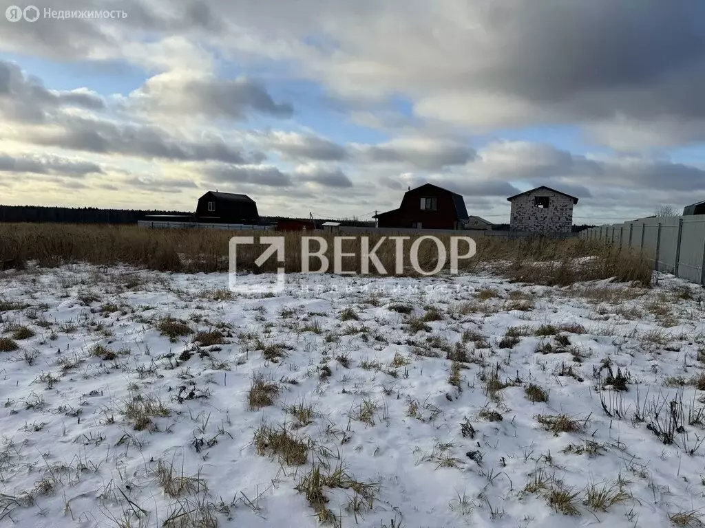 Участок в Красносельский район, Гридинское сельское поселение, деревня ... - Фото 2