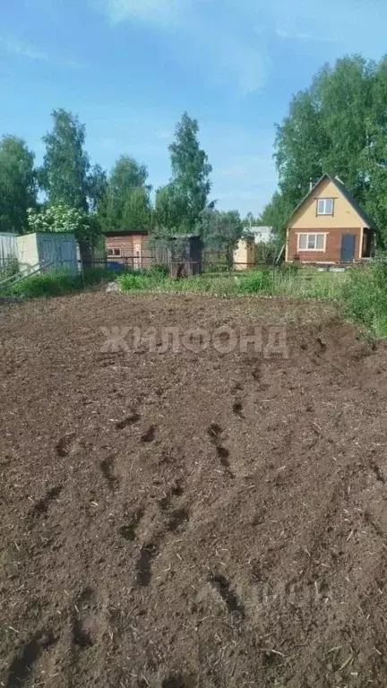 Участок в Новосибирская область, Бердск Вега-3 СНТ,  (5.1 сот.) - Фото 2