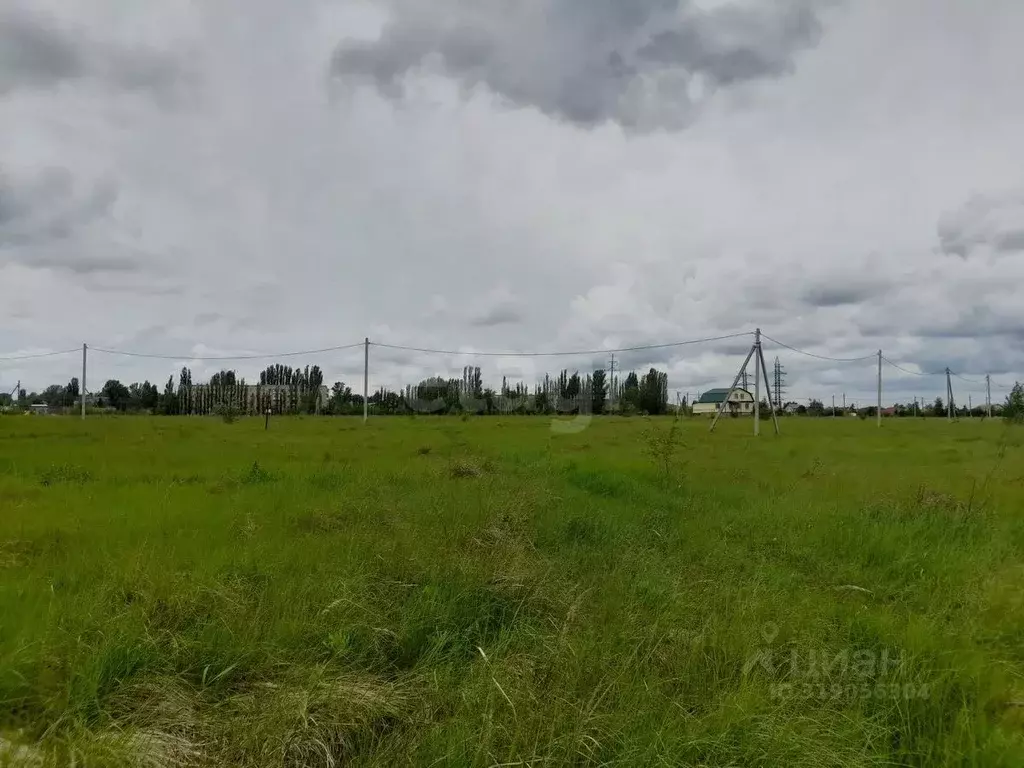 Участок в Саратовская область, Балашовский район, Хоперское ... - Фото 2