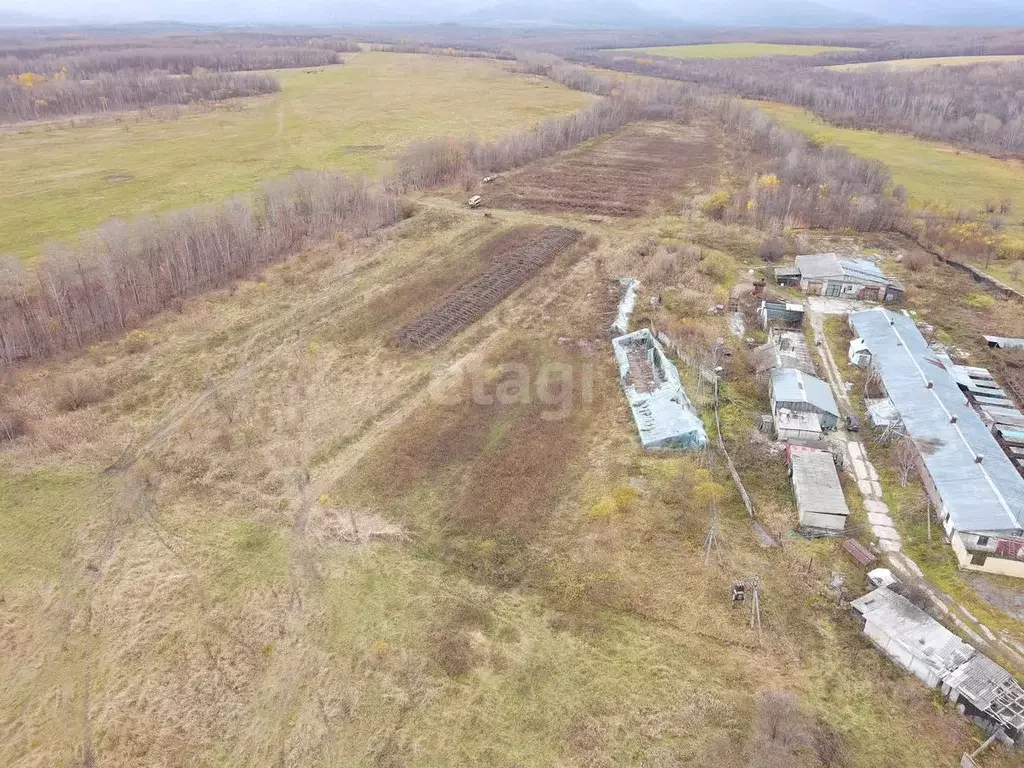 Участок в Хабаровский край, Хабаровский район, Хабаровск-47 городок ... - Фото 1