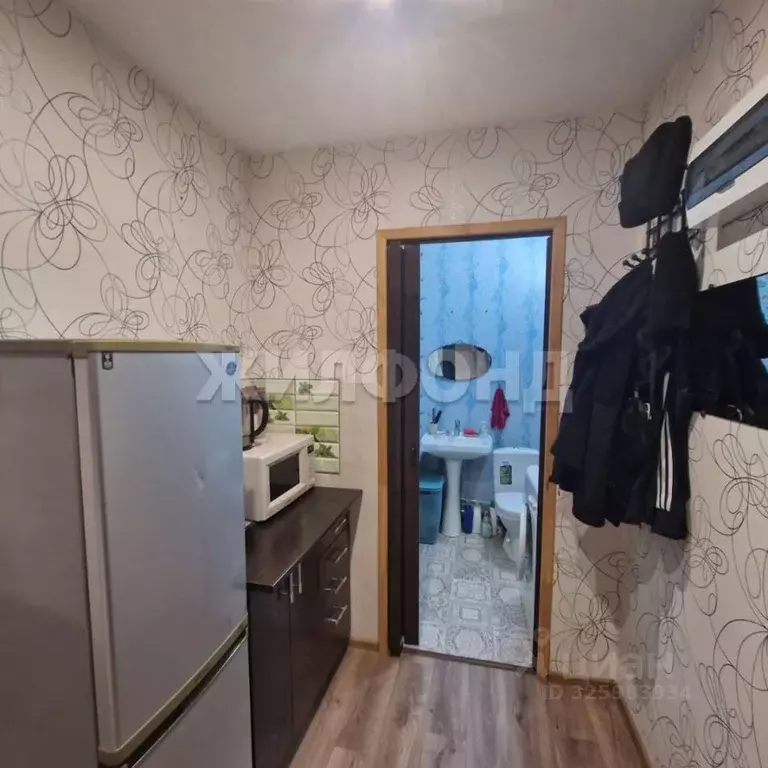 Студия Кемеровская область, Кемерово Молодежный просп., 29 (24.5 м) - Фото 1