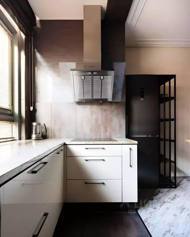 1-к кв. Санкт-Петербург Большая Посадская ул., 12 (47.8 м) - Фото 2