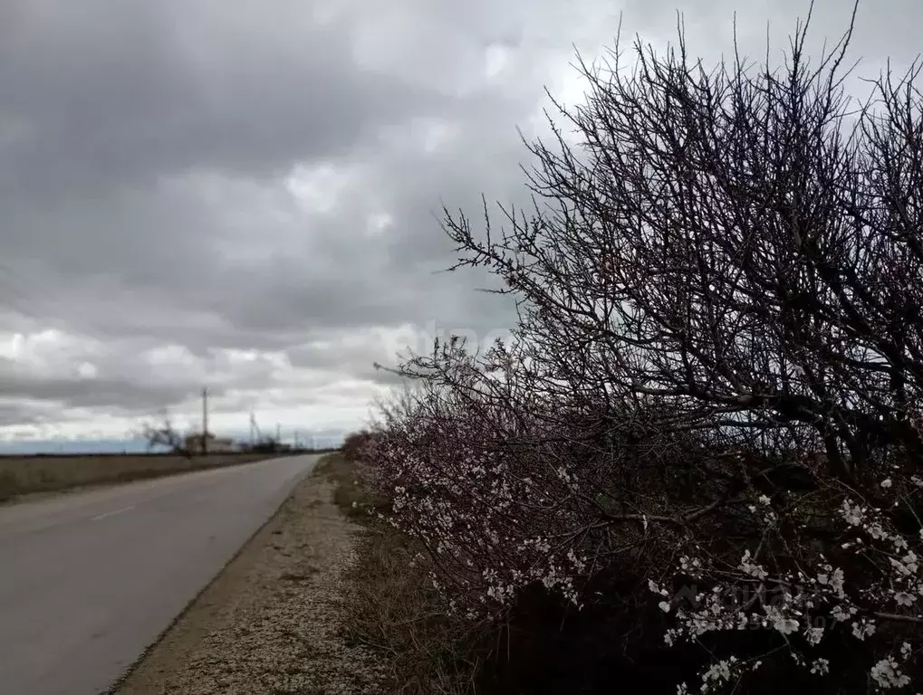 Участок в Крым, Ленинский район, Семисотское с/пос, с. Каменское ул. ... - Фото 1