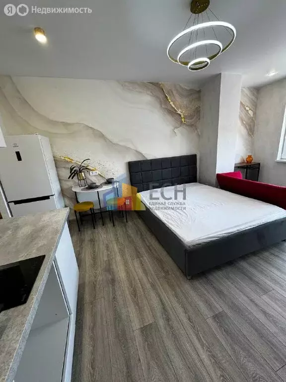 Квартира-студия: посёлок Горелки, Ключевая улица, 4 (23.8 м) - Фото 2