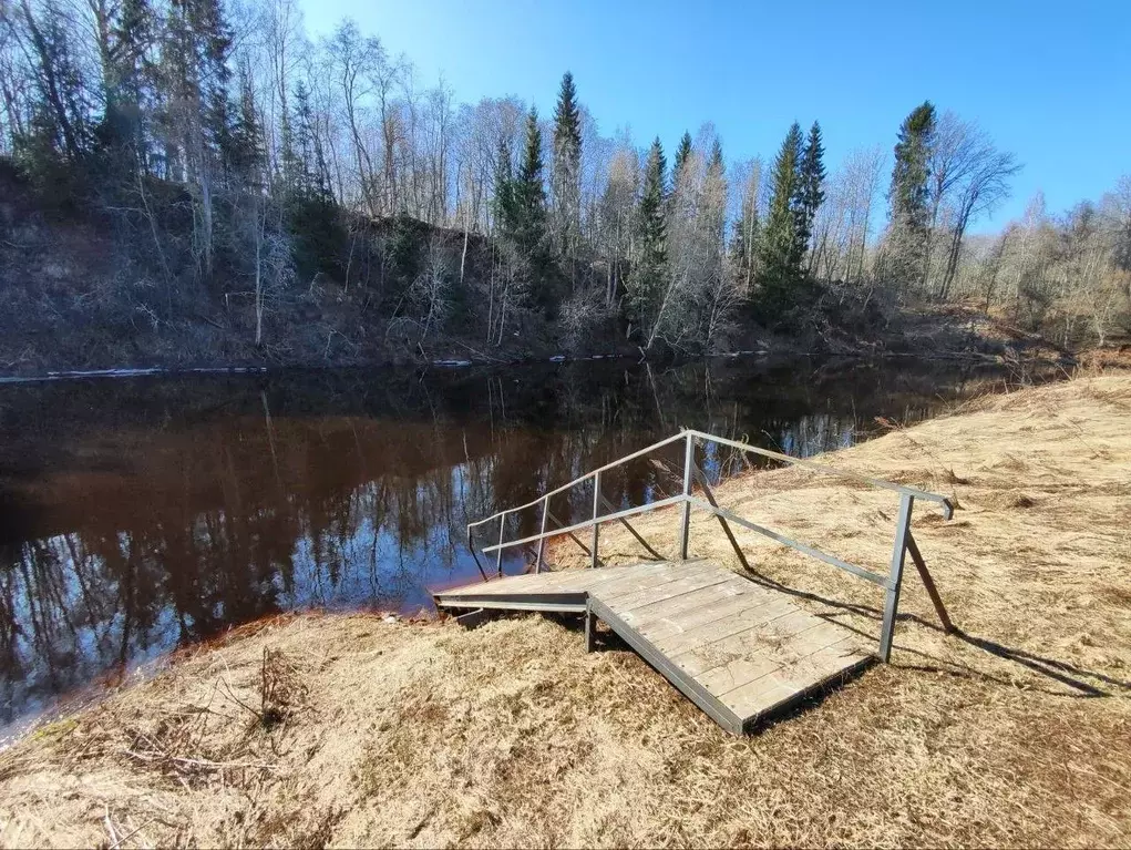 Дом в Новгородская область, Новгородский район, Савинское с/пос, д. ... - Фото 2