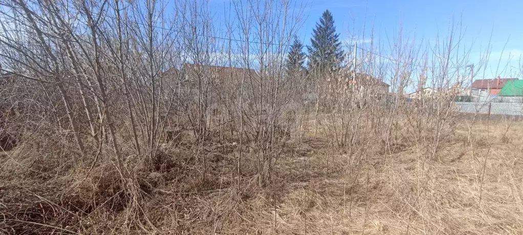 Участок в Самарская область, Красный Яр с/пос, с. Красный Яр ул. ... - Фото 2