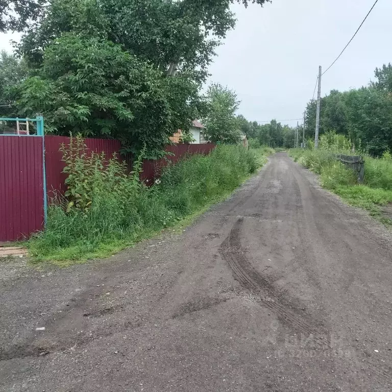 Участок в Камчатский край, Елизовский муниципальный округ, Кедровый ... - Фото 1