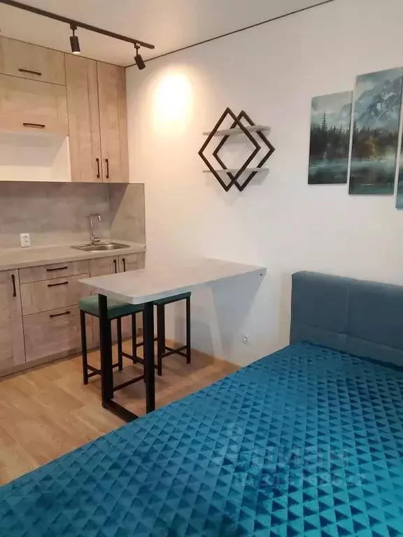 Студия Санкт-Петербург дор. Муринская, 25к2 (20.0 м) - Фото 1