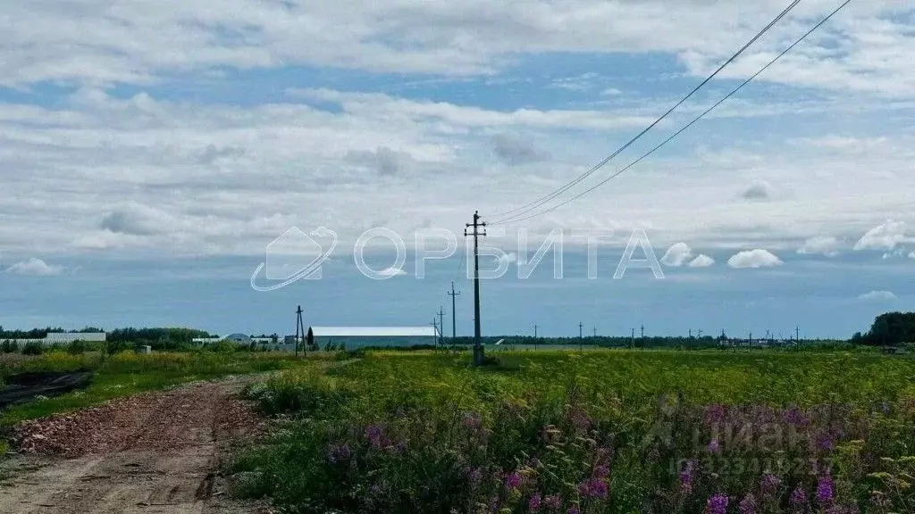 Участок в Тюменская область, Тюменский муниципальный округ, с. ... - Фото 2