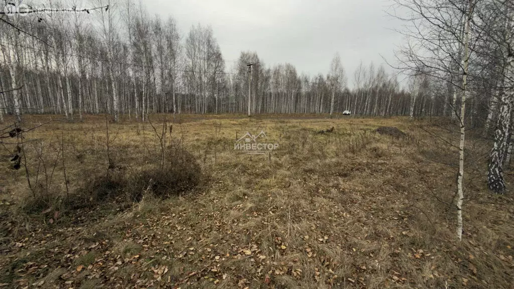 Участок в Челябинская область, Аргаяшский муниципальный округ, деревня ... - Фото 1