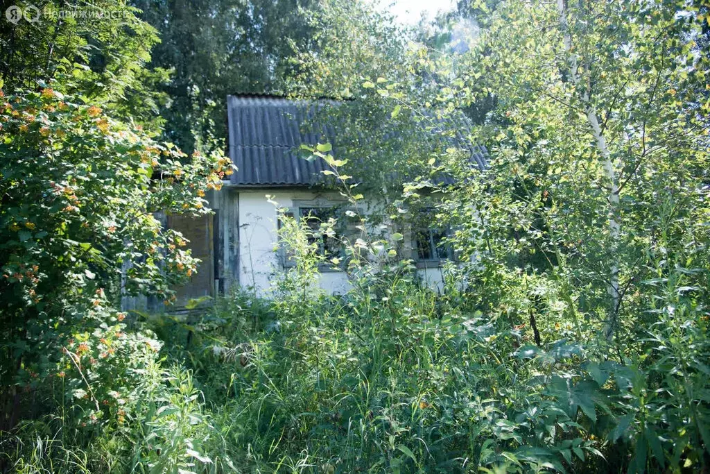 Участок в Совхозный сельсовет, СНТ Вега-1 (4 м) - Фото 1