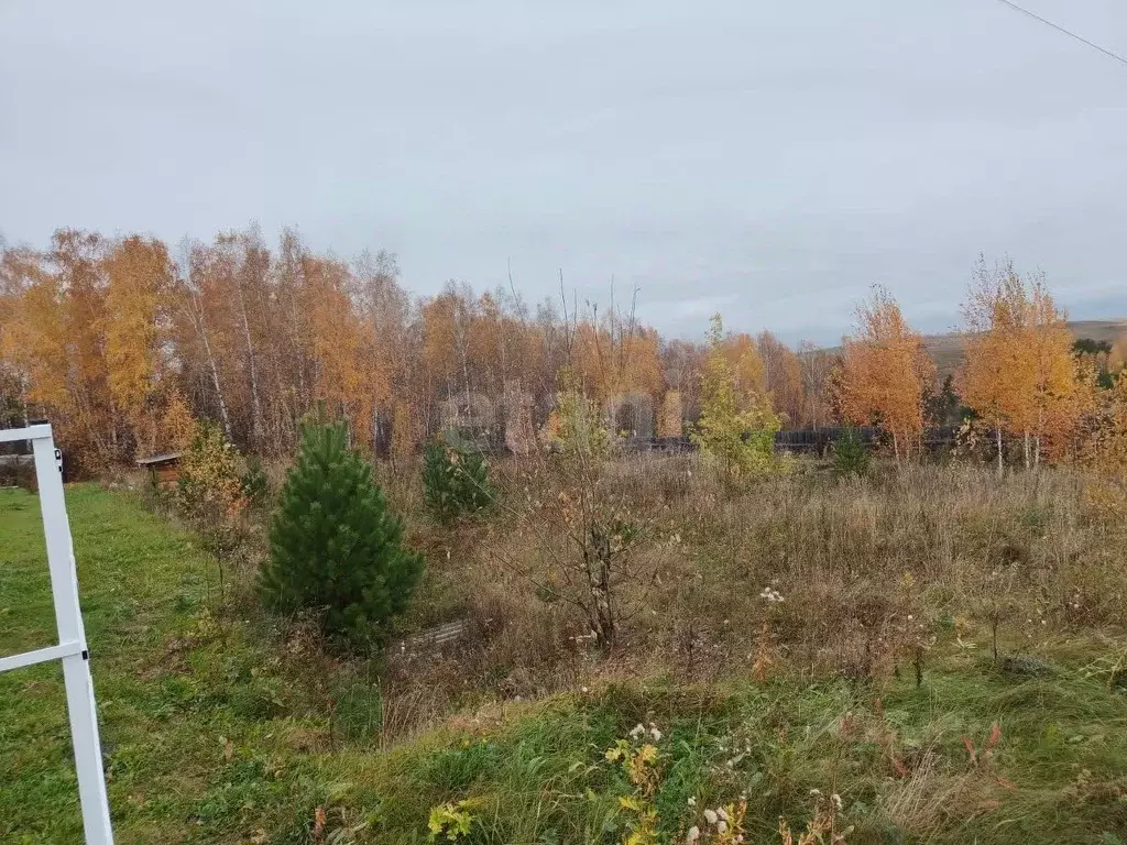 Участок в Красноярский край, Сосновоборский муниципальный округ, с. ... - Фото 1