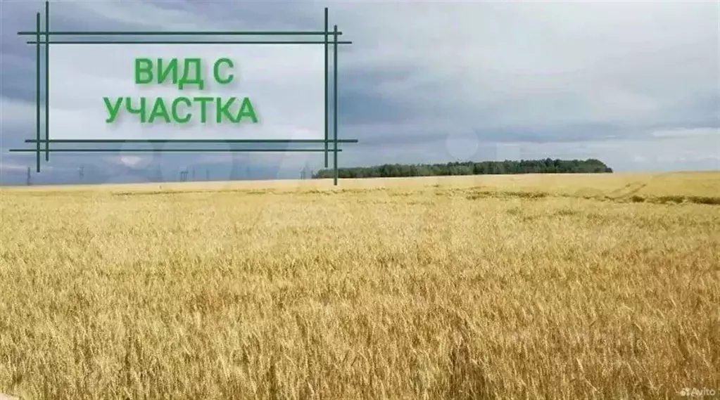 Участок в Московская область, Ступино городской округ, с. Чернышово ... - Фото 0