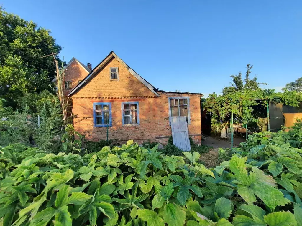 Дом в Ростовская область, Азовский район, Елизаветинское с/пос, Коса ... - Фото 1