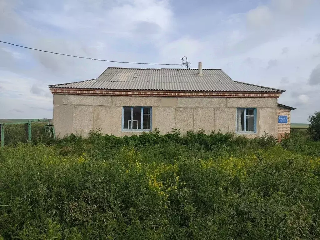 Помещение свободного назначения в Челябинская область, Нагайбакский ... - Фото 1