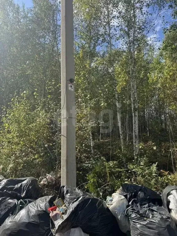 Участок в Иркутская область, Иркутский муниципальный округ, д. ... - Фото 2