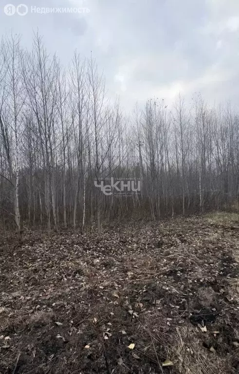 Участок в городской округ Нижний Новгород, село Безводное (16.4 м) - Фото 2