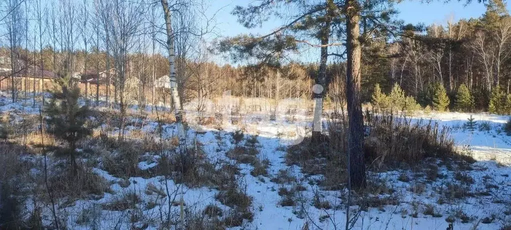 Участок в Красноярский край, Емельяново городское поселение, д. Крутая ... - Фото 1