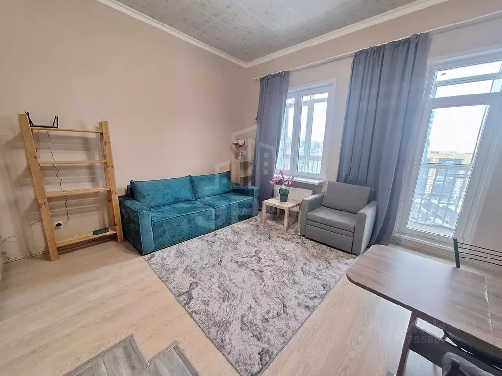 Студия Санкт-Петербург дор. Кушелевская, 6к1 (30.2 м) - Фото 2