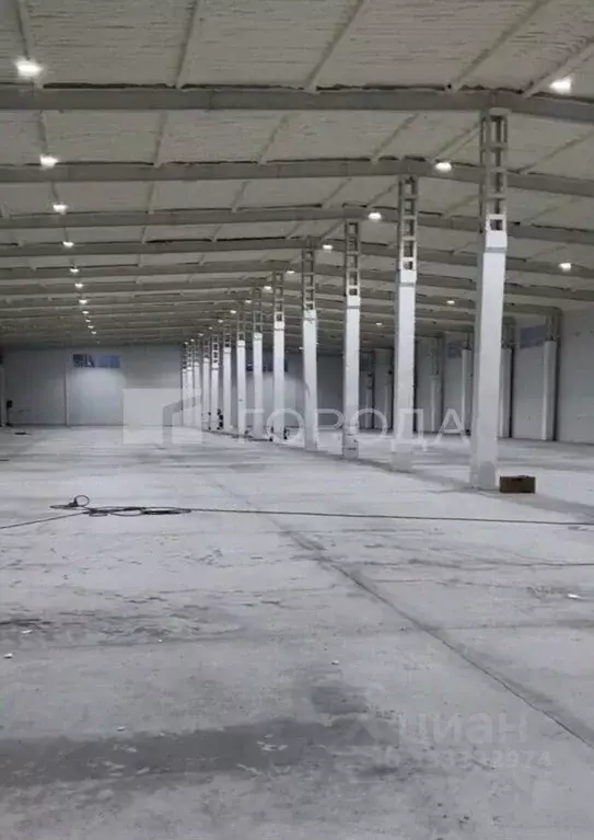 Склад в Новосибирская область, Новосибирск Олимпийская ул., 37к5 (1000 ... - Фото 1
