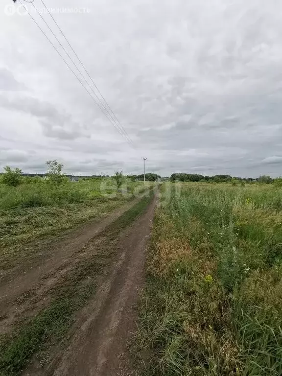 Участок в село Луговое, улица Шамукова (15 м) - Фото 0