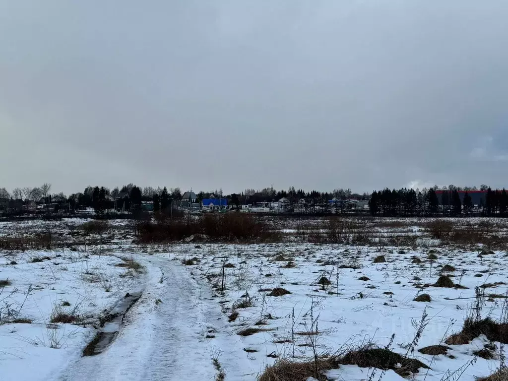 Участок в Московская область, Солнечногорск городской округ, д. ... - Фото 0