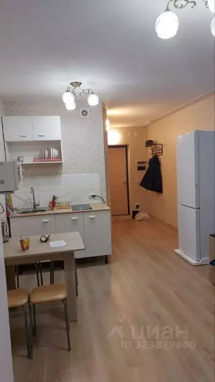 Студия Свердловская область, Екатеринбург ул. Рощинская, 26 (25.0 м) - Фото 2