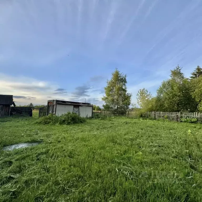 Участок в Пермский край, Добрянский муниципальный округ, д. Пеньки ... - Фото 1