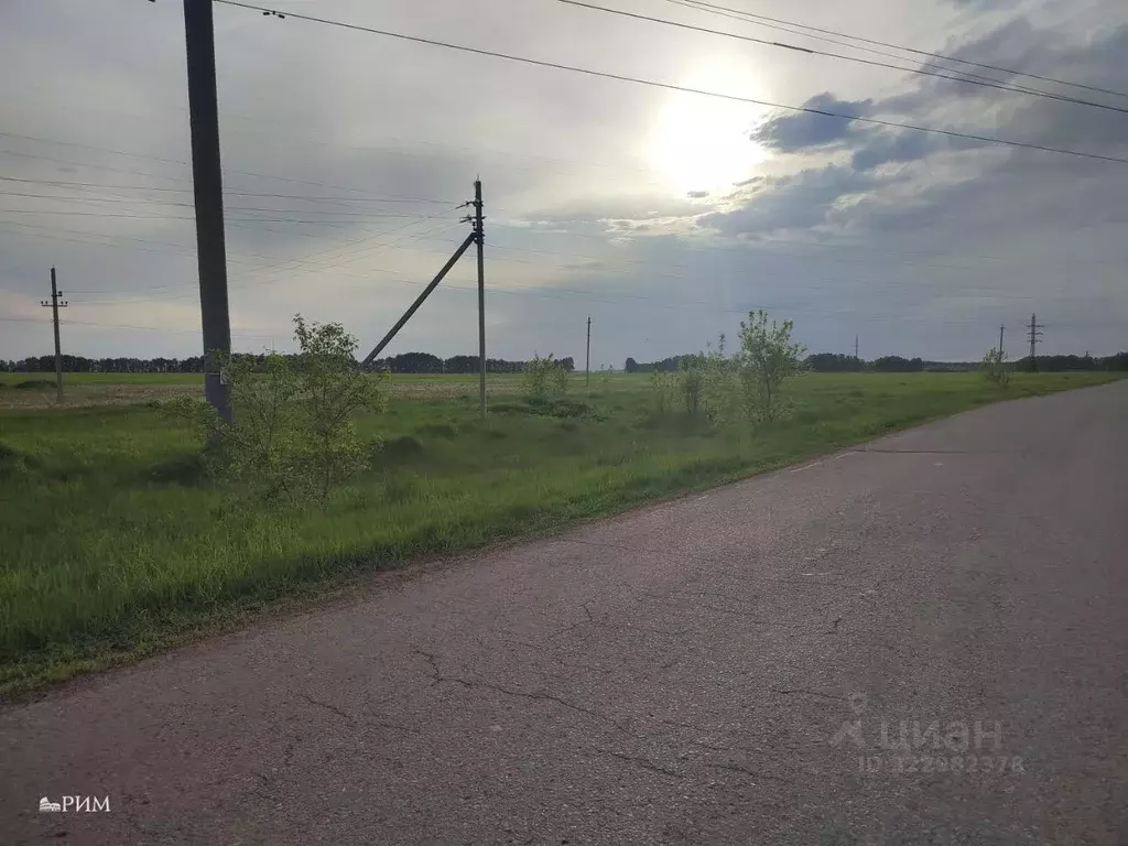 Участок в Омская область, Омский район, Усть-Заостровское с/пос, ... - Фото 1