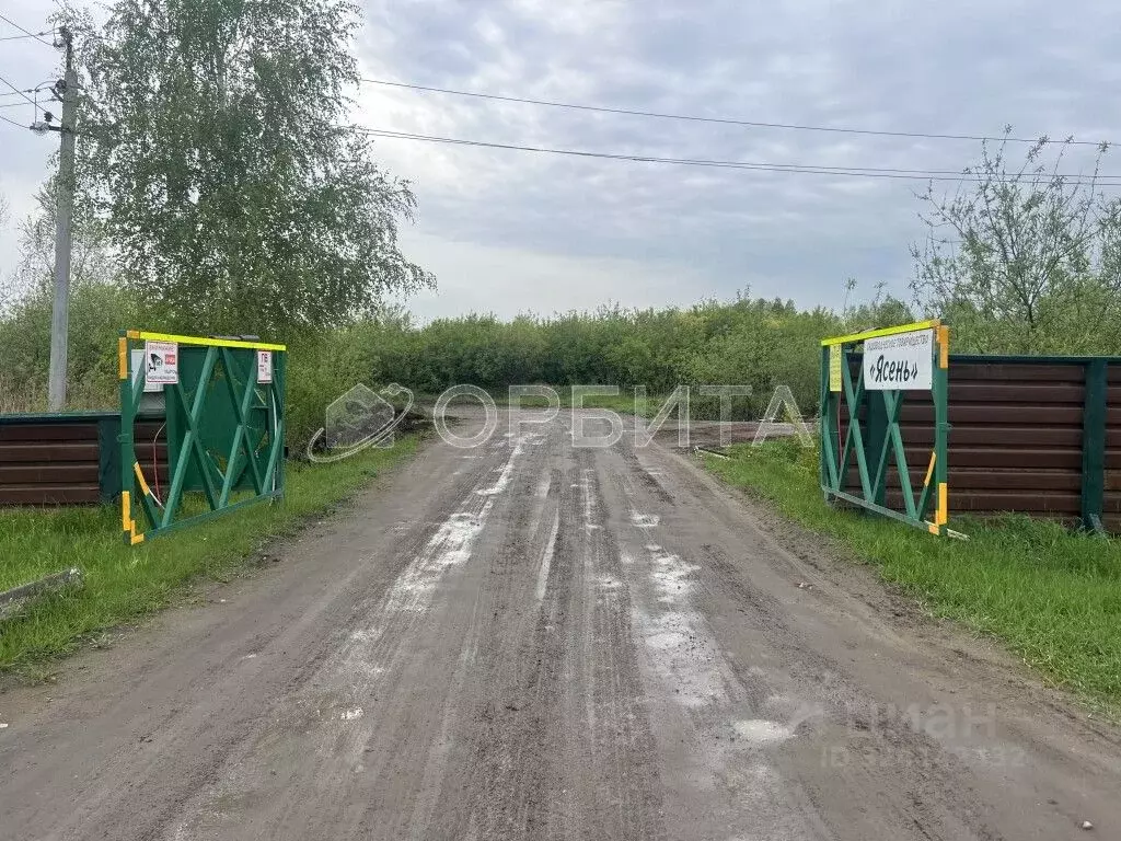 Участок в Тюменская область, Тюмень Ясень садовое товарищество,  (10.0 ... - Фото 1