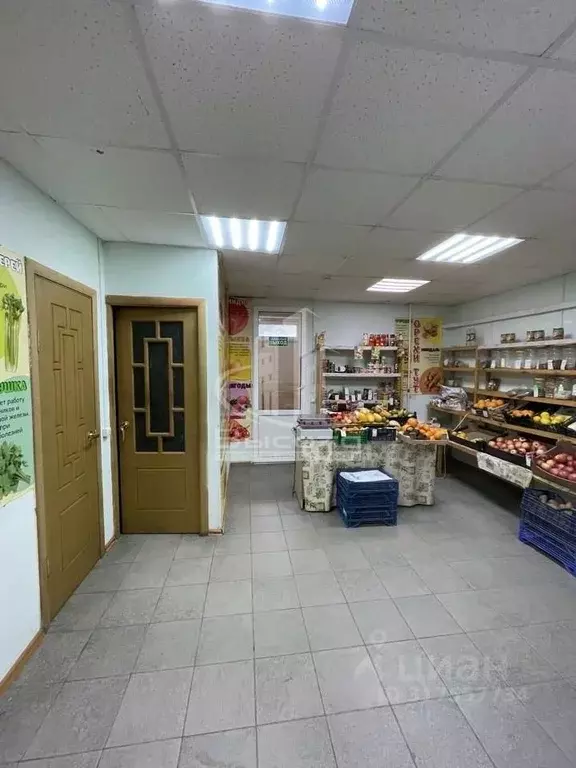 Торговая площадь в Калужская область, Калуга ул. Тельмана, 10 (53 м) - Фото 2