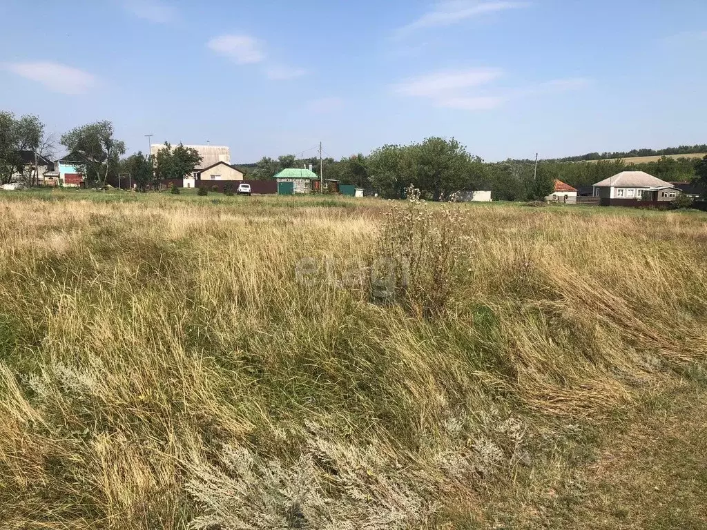 Земля раздолье. Земля раздолье