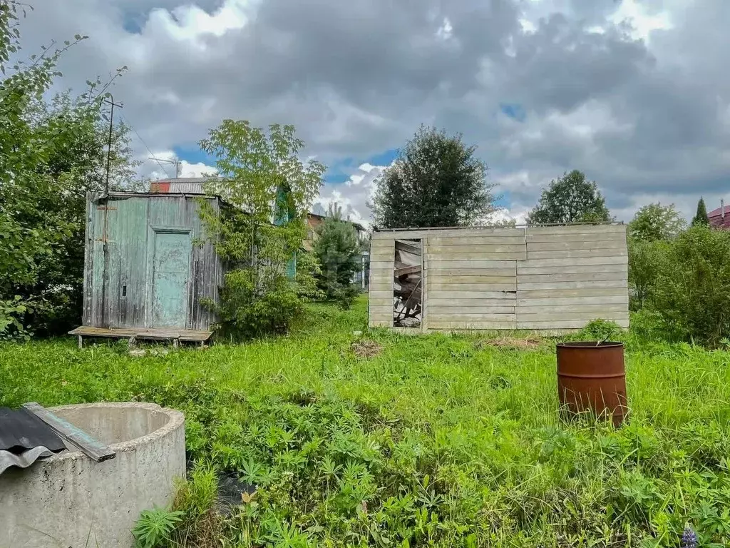 Участок в Ярославская область, Ярославский муниципальный округ, Соньга ... - Фото 1