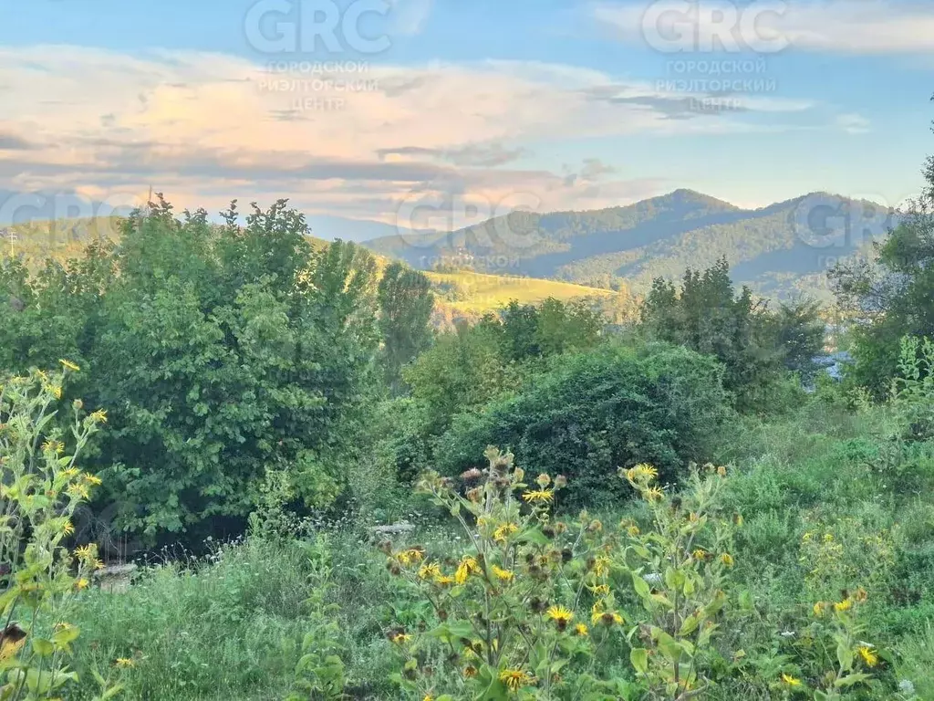 Участок в Краснодарский край, Сочи городской округ, с. Красная Воля ... - Фото 2