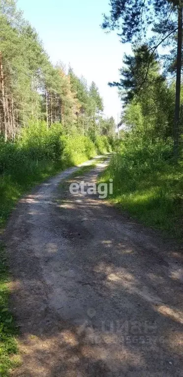 Участок в Ленинградская область, Кировский район, пос. Мга ул. ... - Фото 1