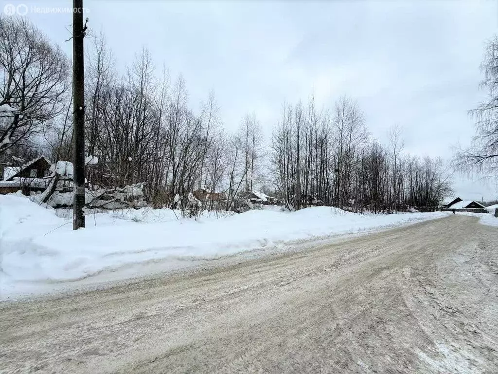 Участок в Владимирская область, Петушинский муниципальный округ, ... - Фото 1