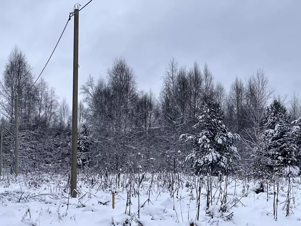 Участок в Владимирская область, Александровский муниципальный округ, ... - Фото 2