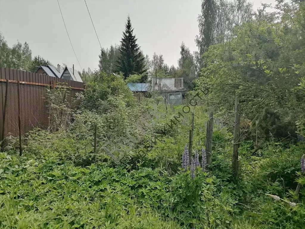 Дом в Московская область, Богородский городской округ, Ивушка СНТ  (20 ... - Фото 0