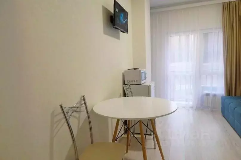 1-к кв. Краснодарский край, Сочи Красная ул., 34Ж (30.0 м) - Фото 1